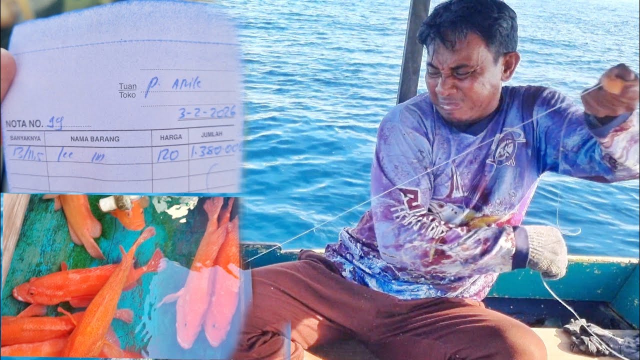 SPOT TERMAHAL STRIKE TIADA  HENTI KERAPU MERAH HASILNYA SAMPAI MERAH MENYALA 