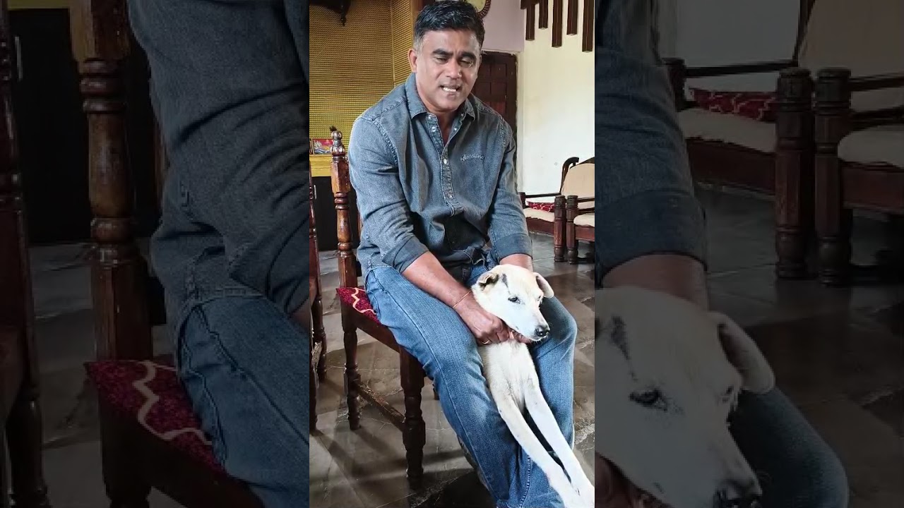 These dogs will die 😢......Xencor Polgi's emotional appeal to the Government
