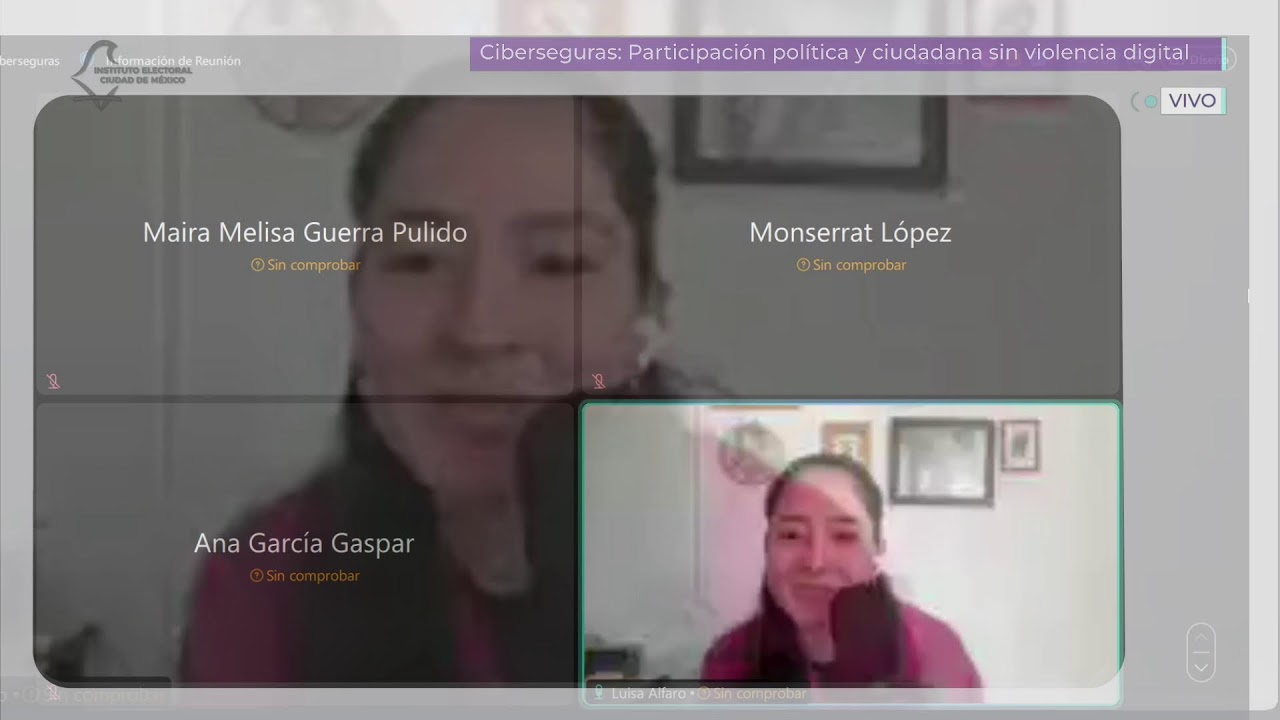 Taller virtual “Ciberseguras: Participación política y ciudadana sin violencia digital”