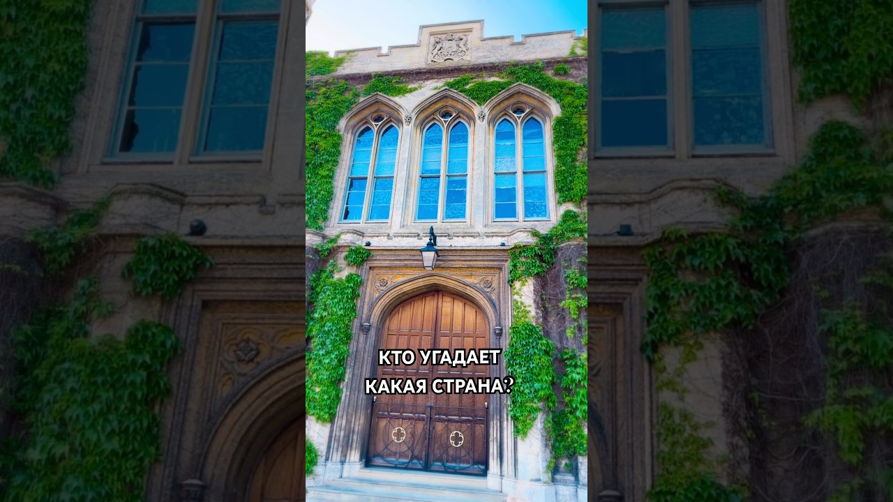 ответьте в комментариях 🫠 
