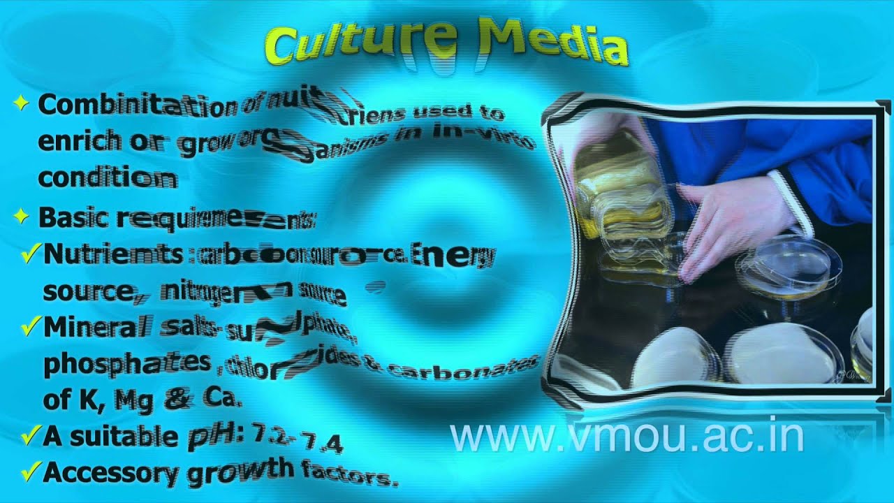 Pure Culture Techniques