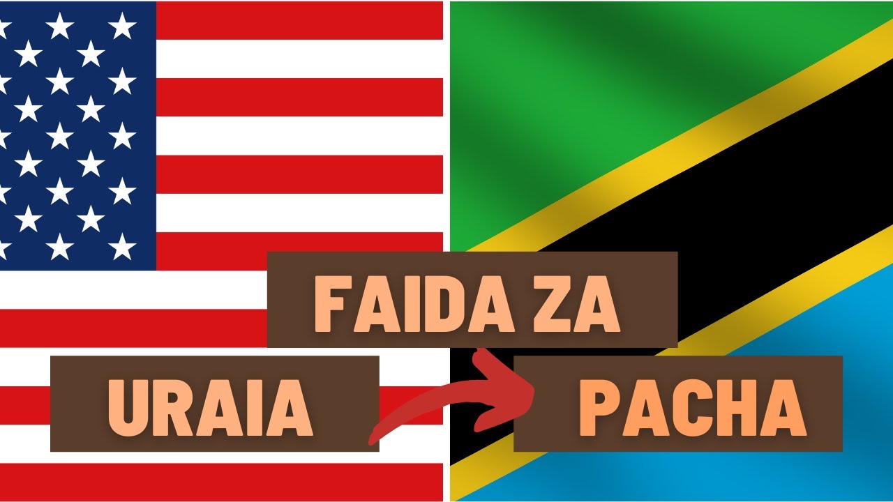 FAIDA ZA URAIA PACHA (Dual Citizenship) KWA TANZANIA #uraiapacha #Tanzania
