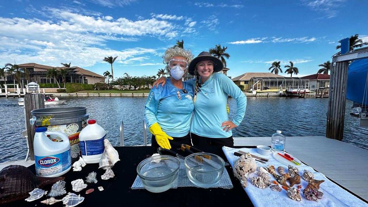 How to Clean Shells - Tutorial with Amanda Collett, Seashell Author and 