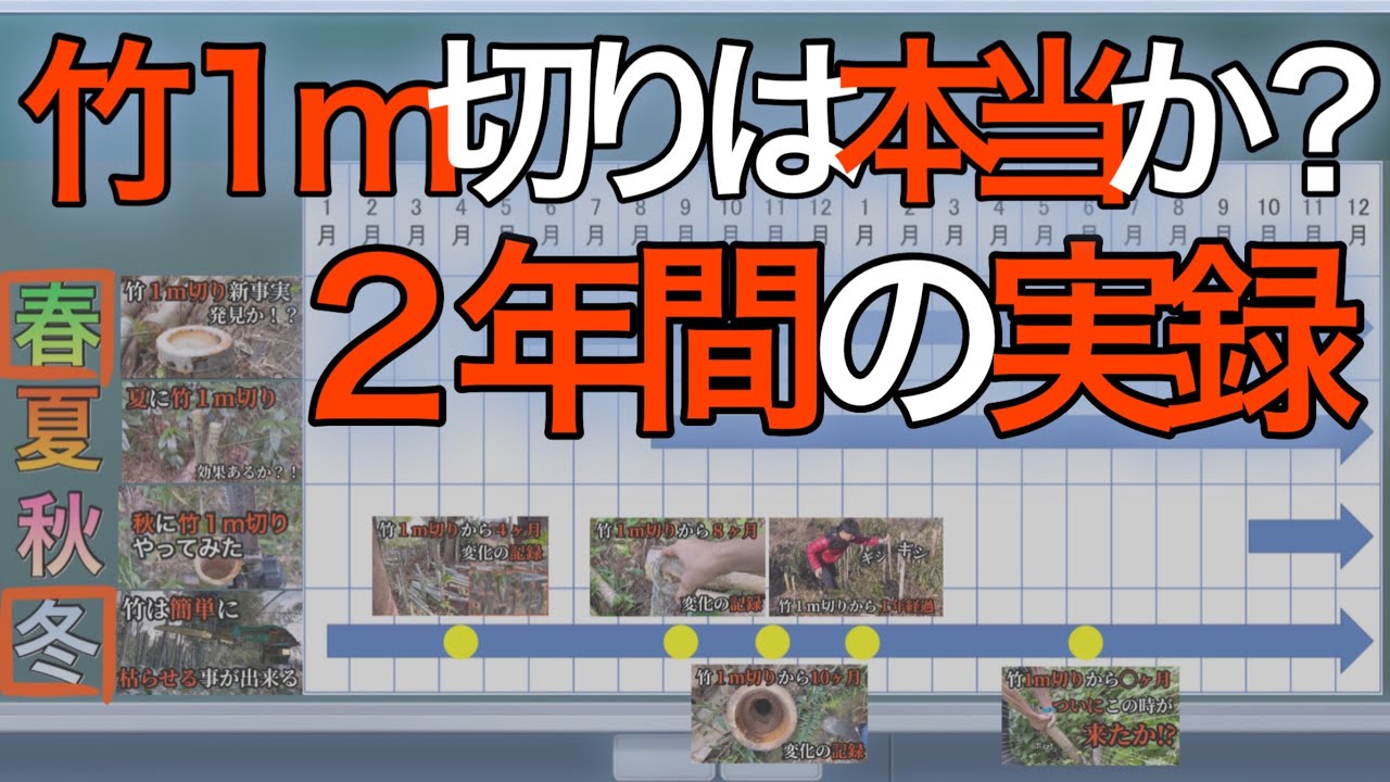 竹１ｍ切りって効果あるのか？２年間の観察実績