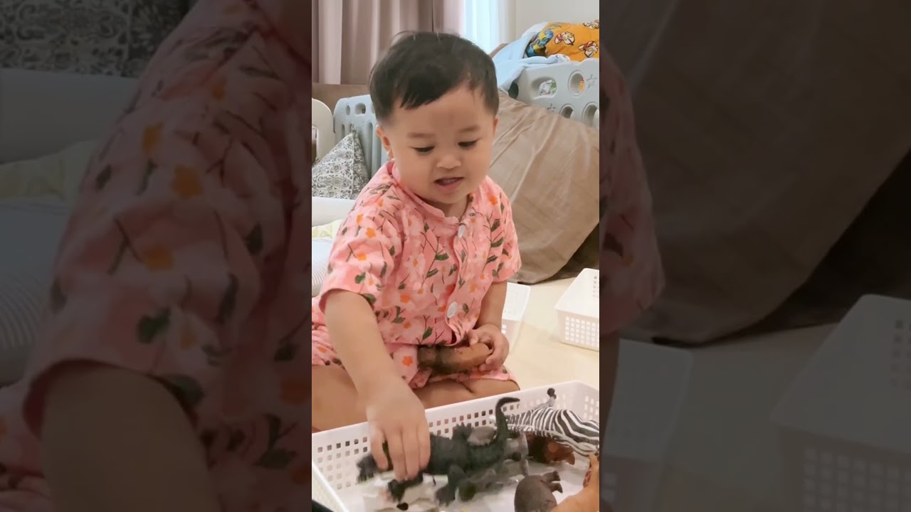 How - To ฝึกป้อนคำศัพท์ให้ลูก | bikwans