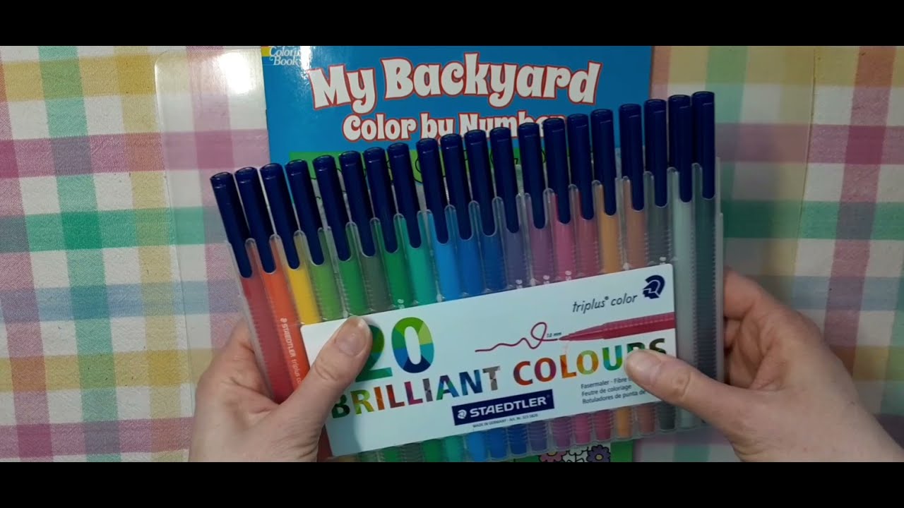 Coloring in My Backyard color by number book with water base markers