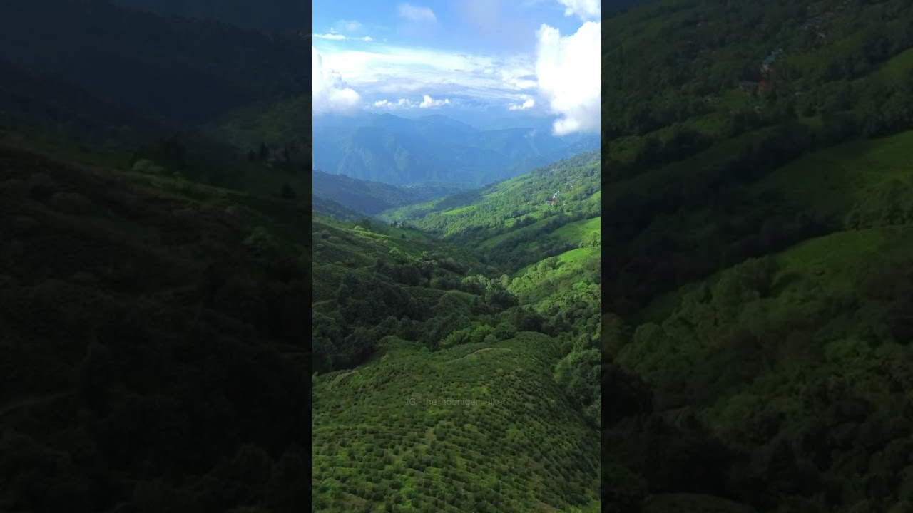 Darjeeling Drone Shot 