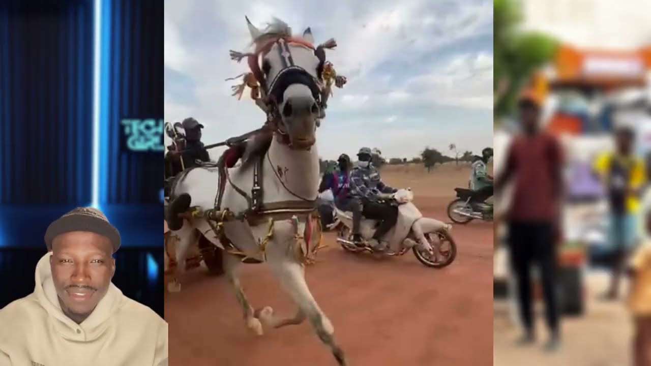 10MIL PROBLEM TOUBA COURSE HIPPIQUE TOUBA#horse #cheval #courseshippiques #galop #trote 