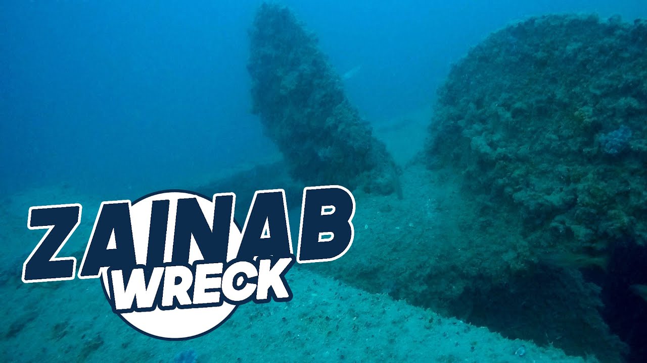 Amazing Visibility on the  Zainab | Dubai Scuba Diving