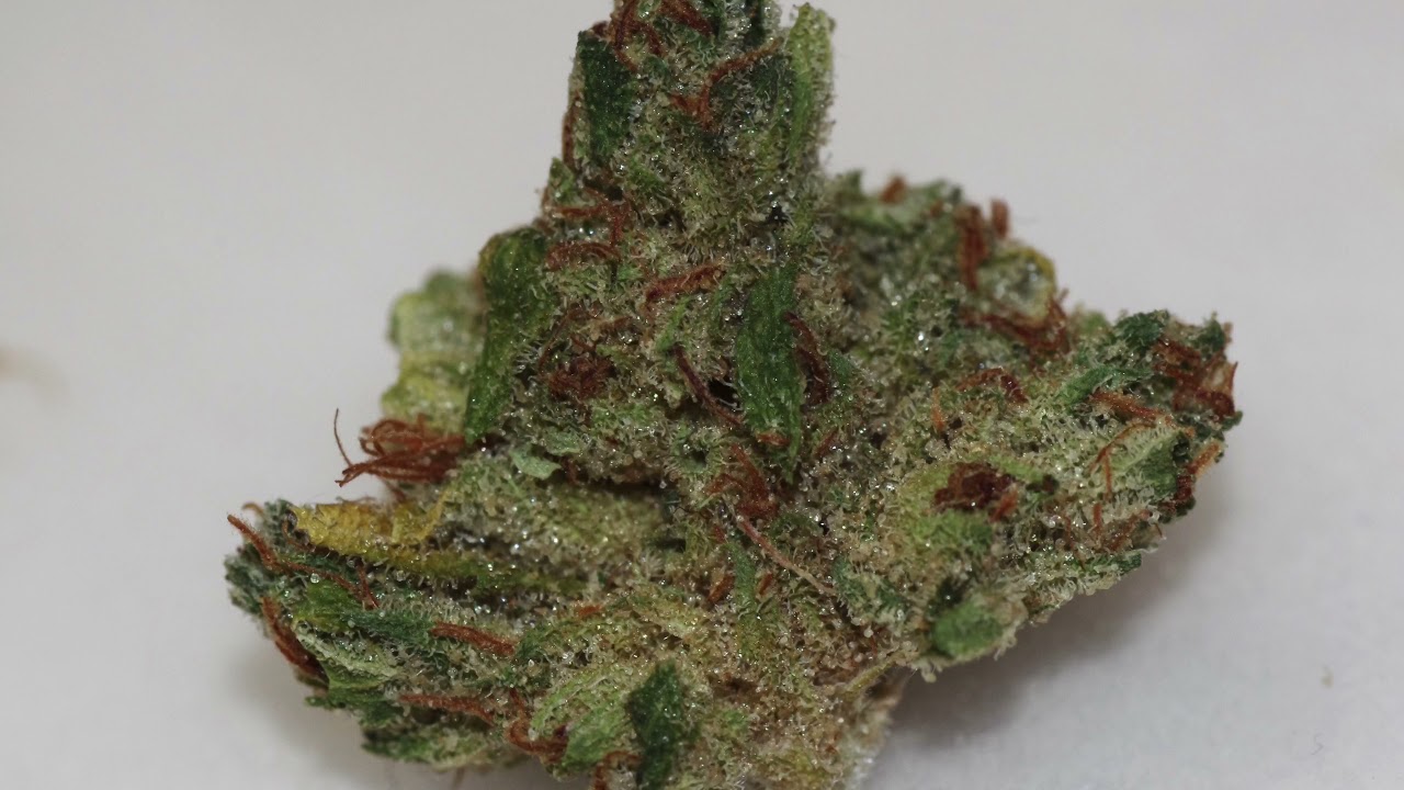 Rudeboi OG Review - Bedford Grow