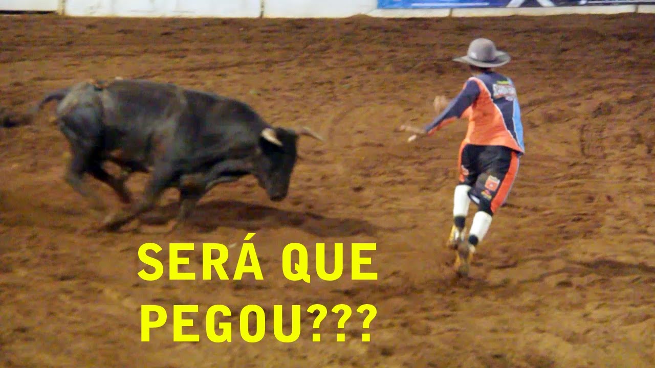 Bullfighter com Touros Miúras em Ibirarema