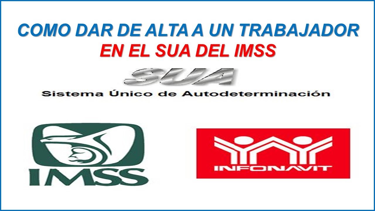 COMO DAR DE ALTA A UN TRABAJADOR EN EL SUA DEL IMSS 2026