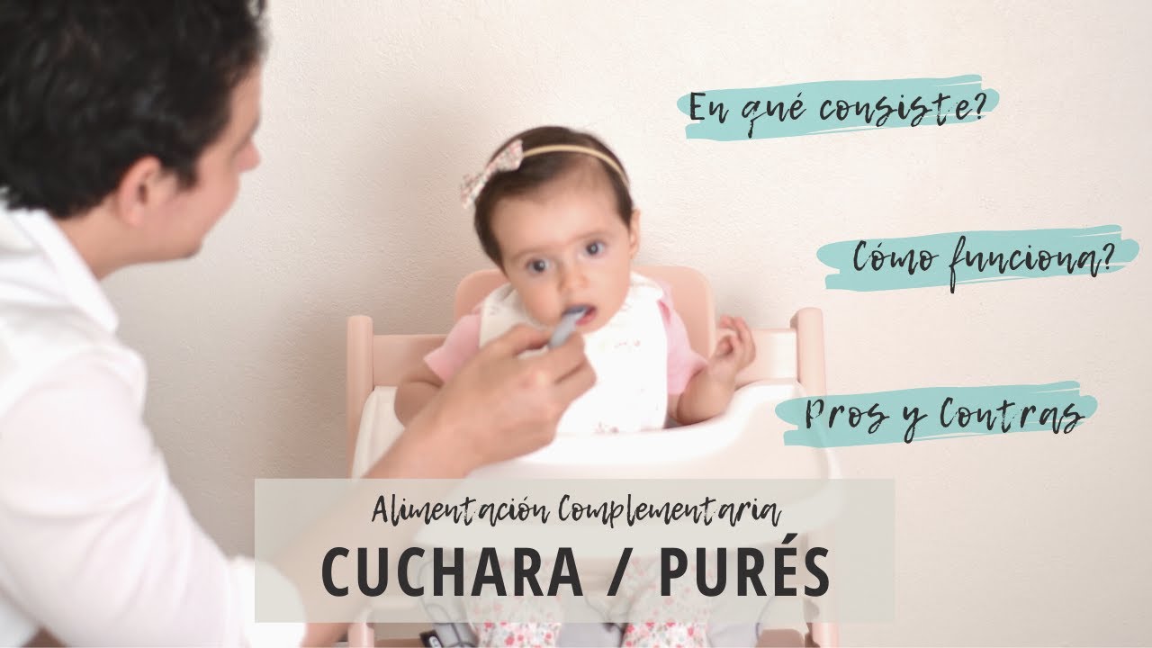 ALIMENTACIÓN COMPLEMENTARIA - PAPILLAS