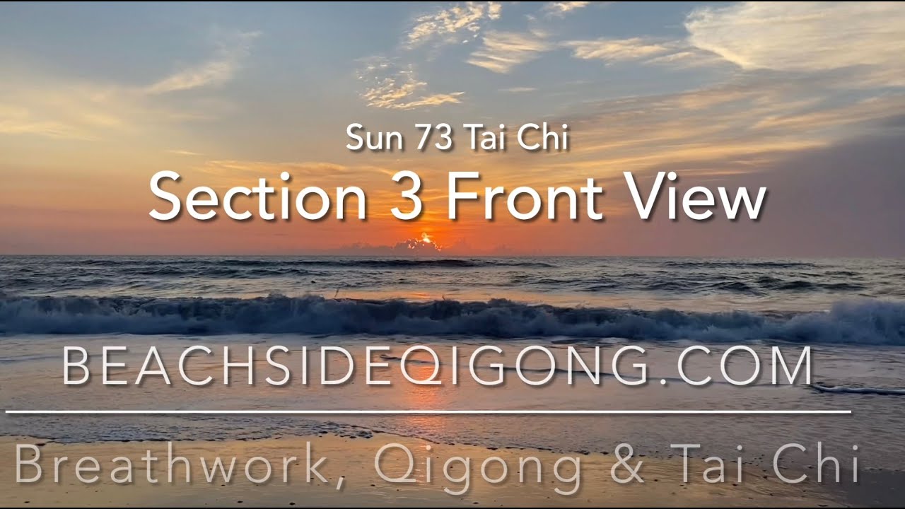 Sun 73 Tai Chi Course, Section 3 Front View