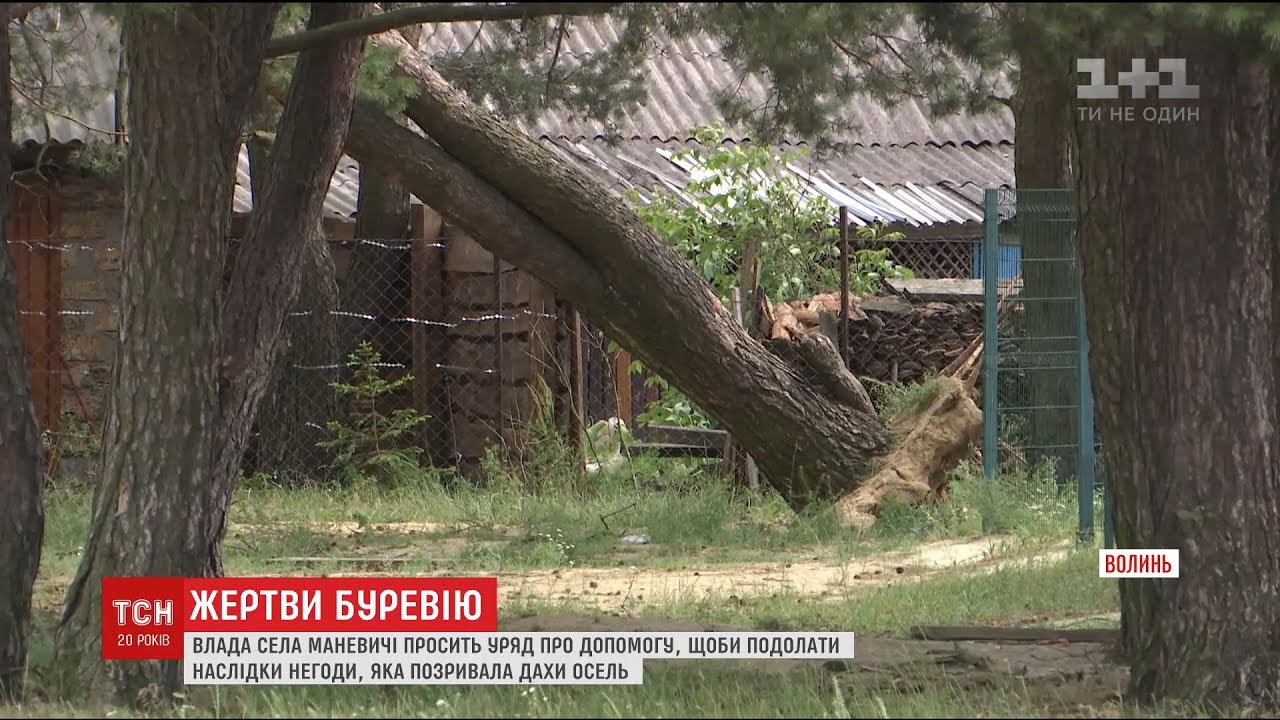 Волинь оговтуються від негоди