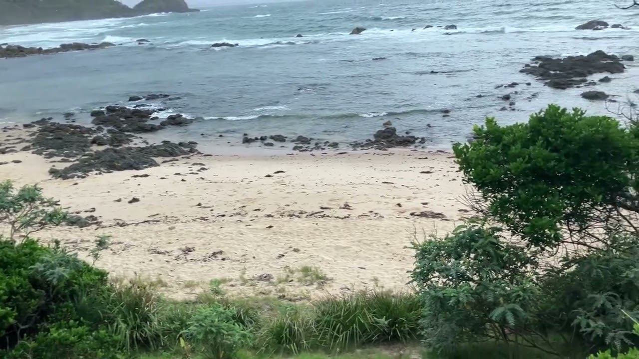 Good morning Port Macquarie 04 March 2026 (D)