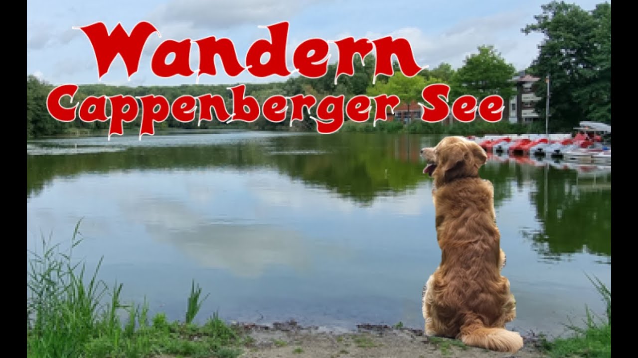 Wandern am Cappenberger See! Wald, See und Natur!  4K #wandern #wandernmithund