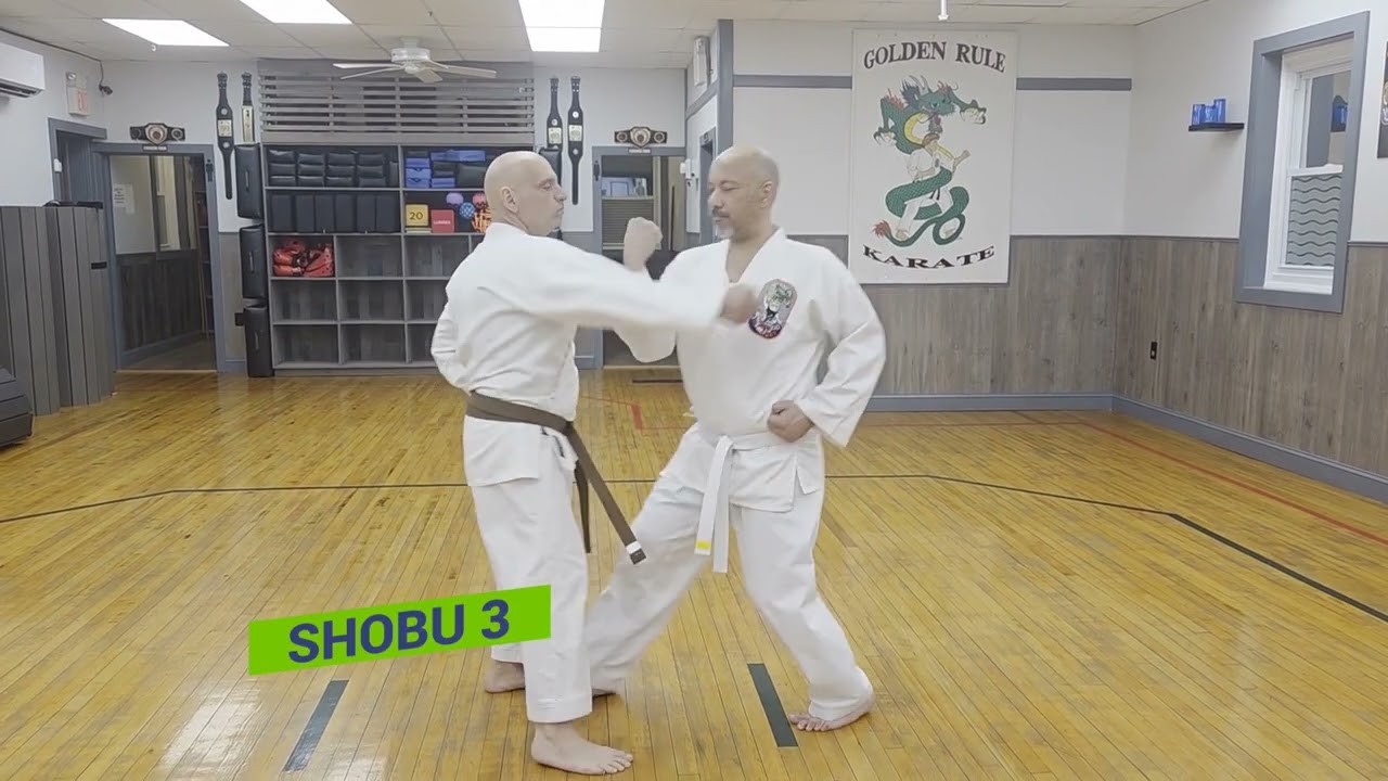 ShoBu 1, 2 3, and 4
