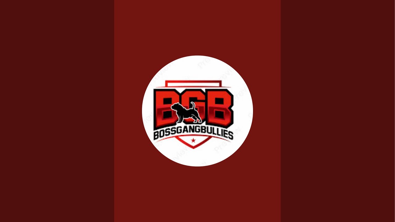 BossGangBullies is live!