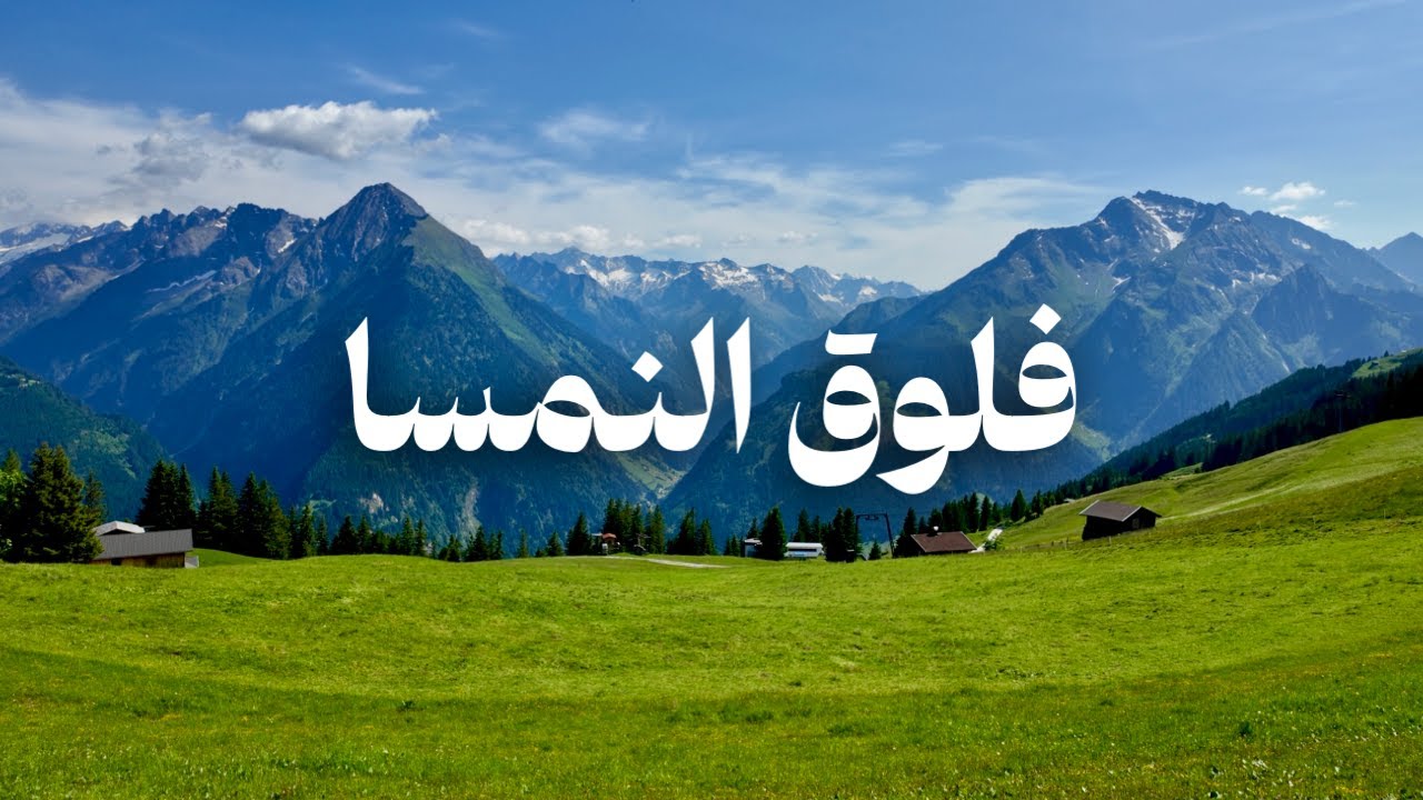 رحلتي الى بلدة مايرهوفن في النمسا | فلوق - Mayrhofen