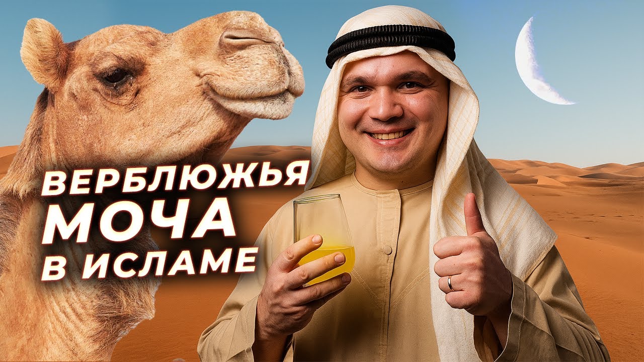 Зачем мусульмане пьют мочу верблюдов