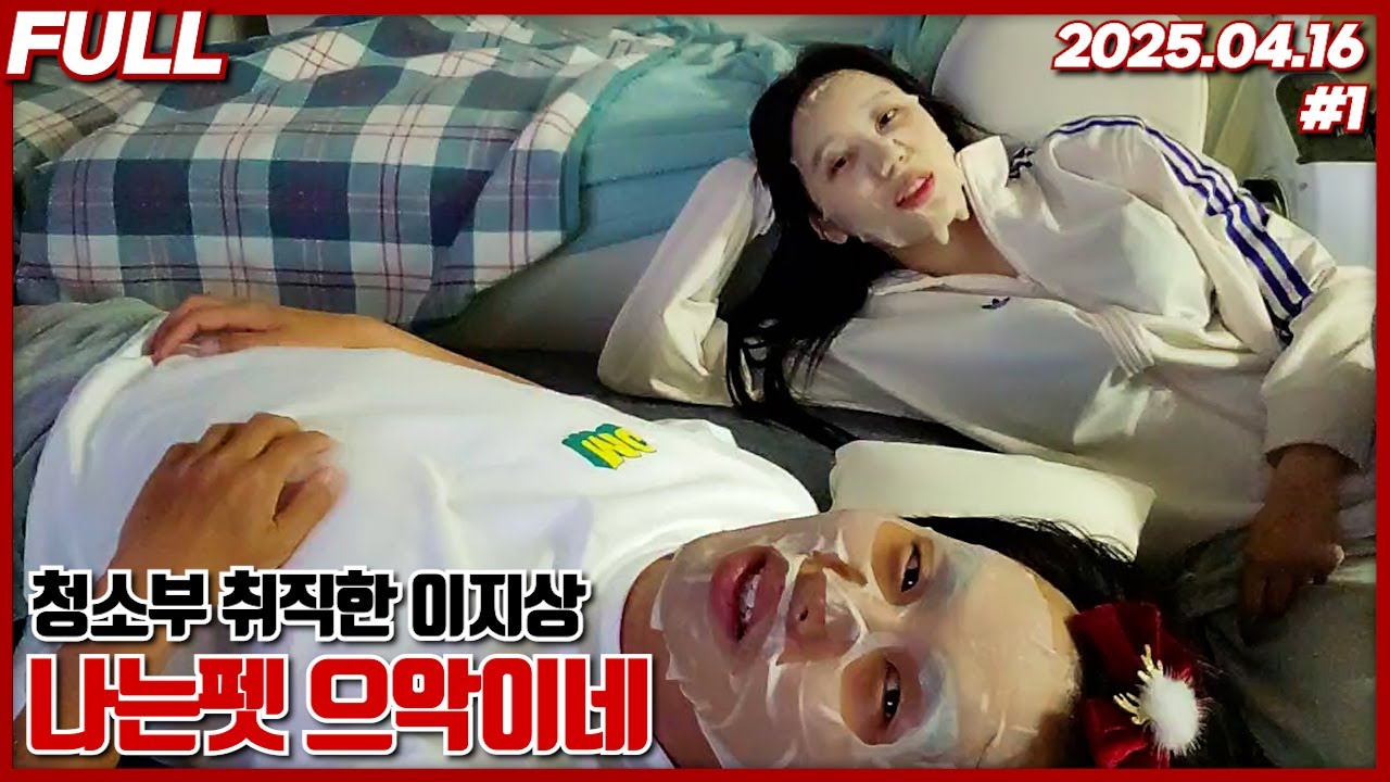 치워도 치워도 끝이 없네... [25.04.16 #1]