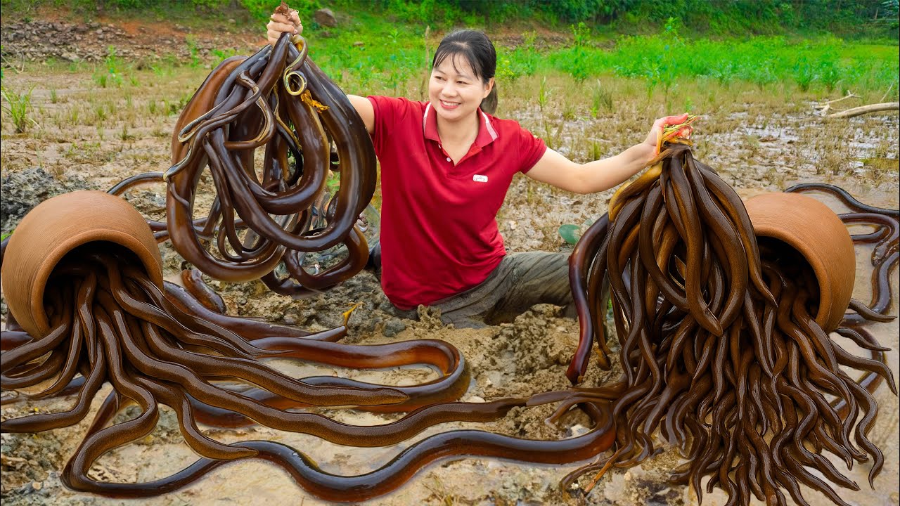 SHOCKING! Harvesting Eels in Giant Earthen Jars & Selling at the Market - Life-Changing Harvest
