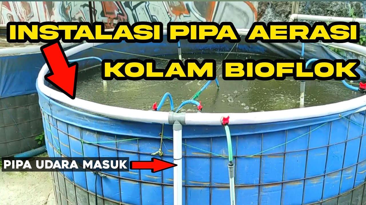 Instalasi Pipa Aerasi Udara Kolam Bioflok