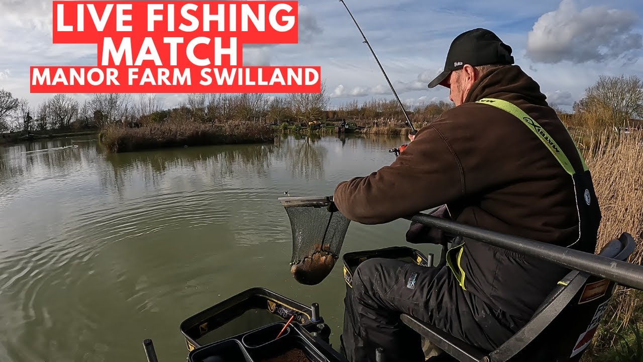 Live Fishing Match Manor Farm Swilland  ip6 9lb  #matchfishinguk