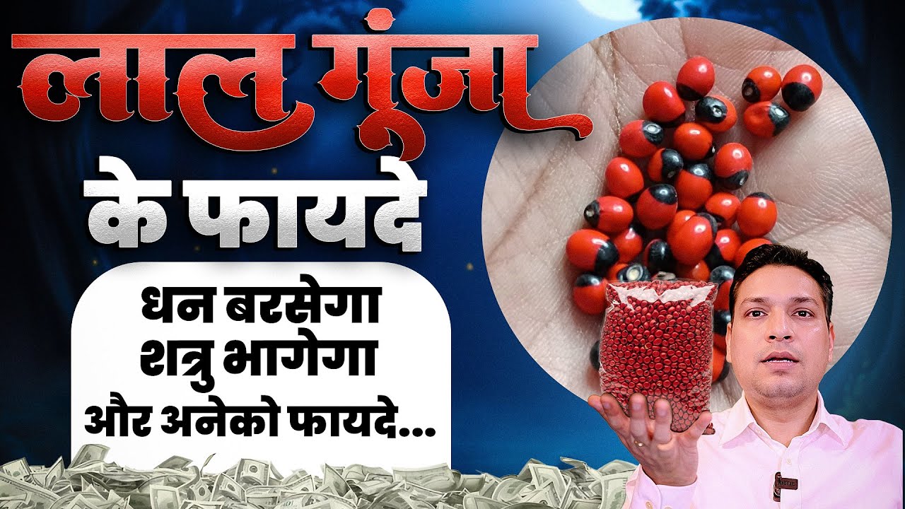 लाल गुंजा के 3 चमत्कारी टोटके | Red Gunja Totka #astrologytips #tantra