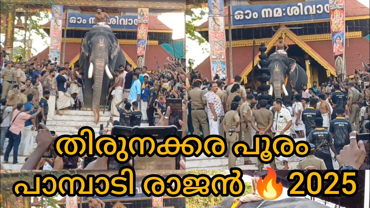 Pampady Rajan Thirunakkara pooram 2025🔥❤️#shortsfeed #shortvideo #shorts #trending #trendingshorts