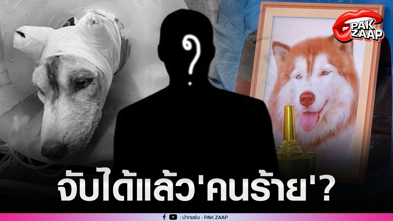 จับได้แล้ว'คนร้าย'ก่อเหตุกับ'น้องมอลลี่'?