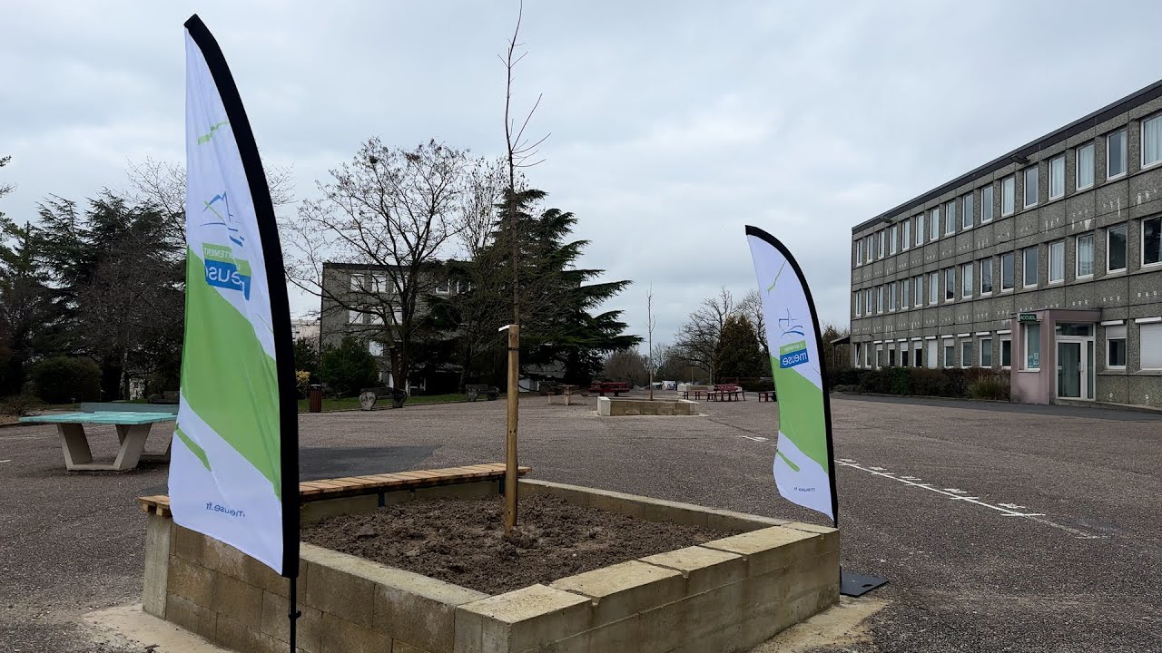 Apportez de la fraîcheur au sein des établissements scolaires