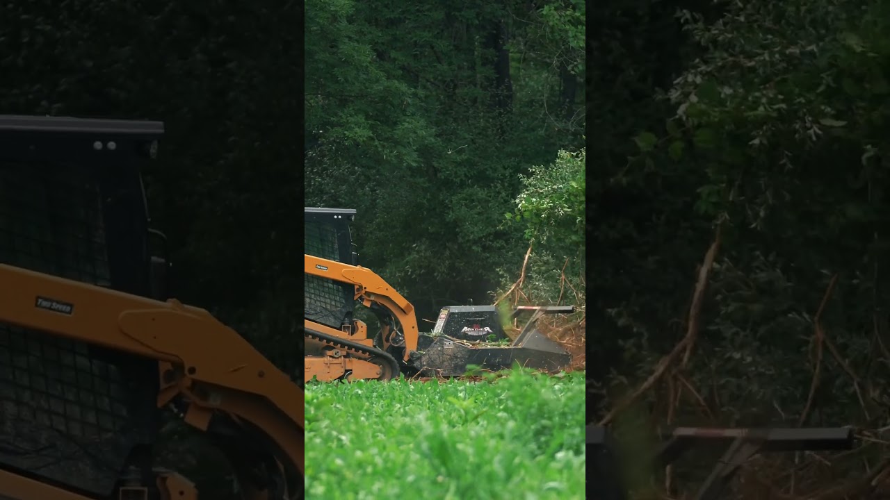 Vail X Mulcher destroys brush!!! @vailproducts ​⁠@genesiswildlifegroup #fyp #reels #trees