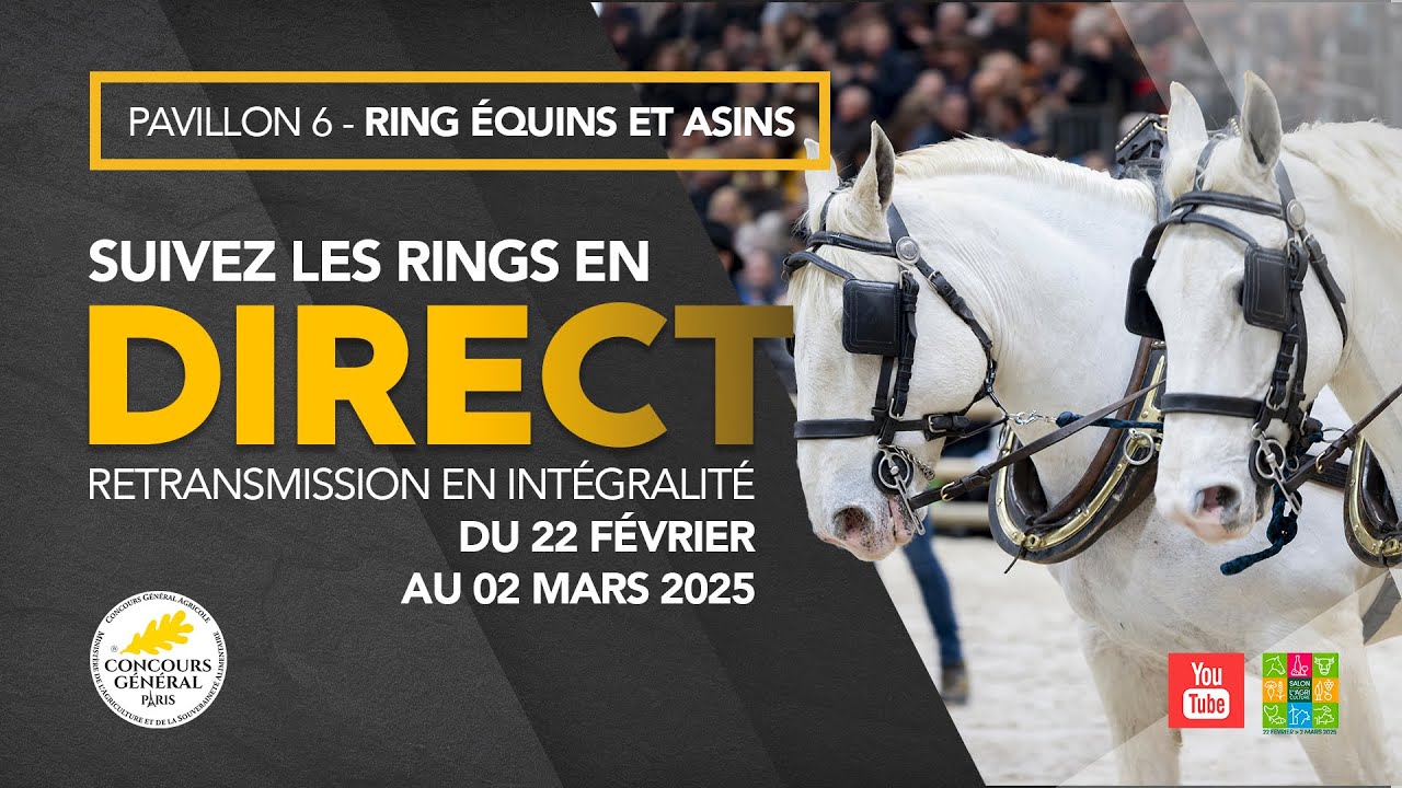 Ring Équins et Asins 28/02/2025