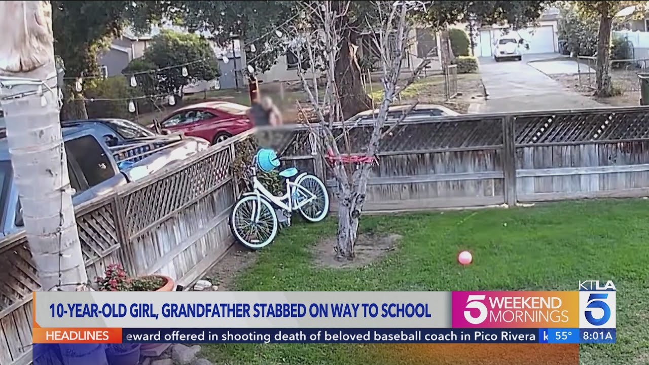Suspect ID’d in stabbing of 10-year-old girl, grandfather