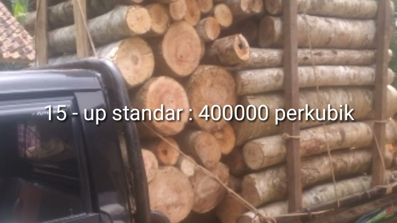 update harga log sengon rijek panjang 130 / 100 mtr