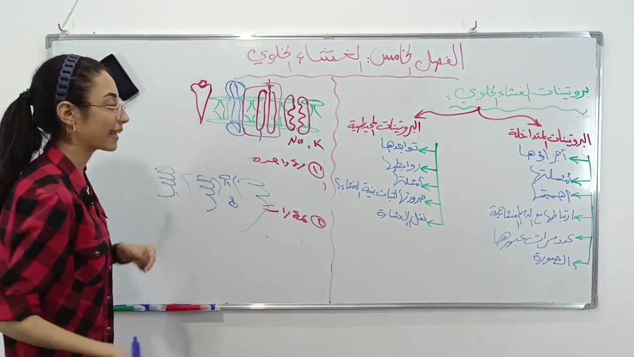6) أنواع بروتينات الغشاء الخلوي (المتداخلة والمحيطية)