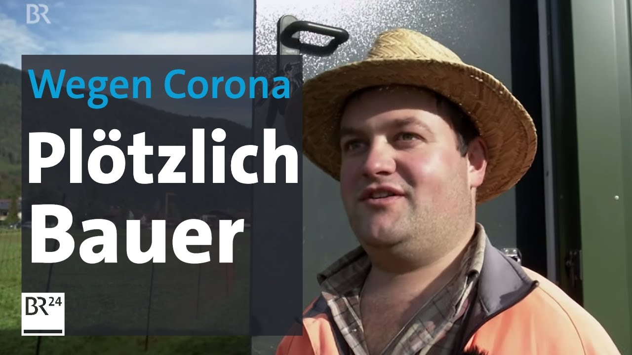 Not macht erfinderisch: Neuer Job wegen Corona-Risiko | Abendschau | BR24