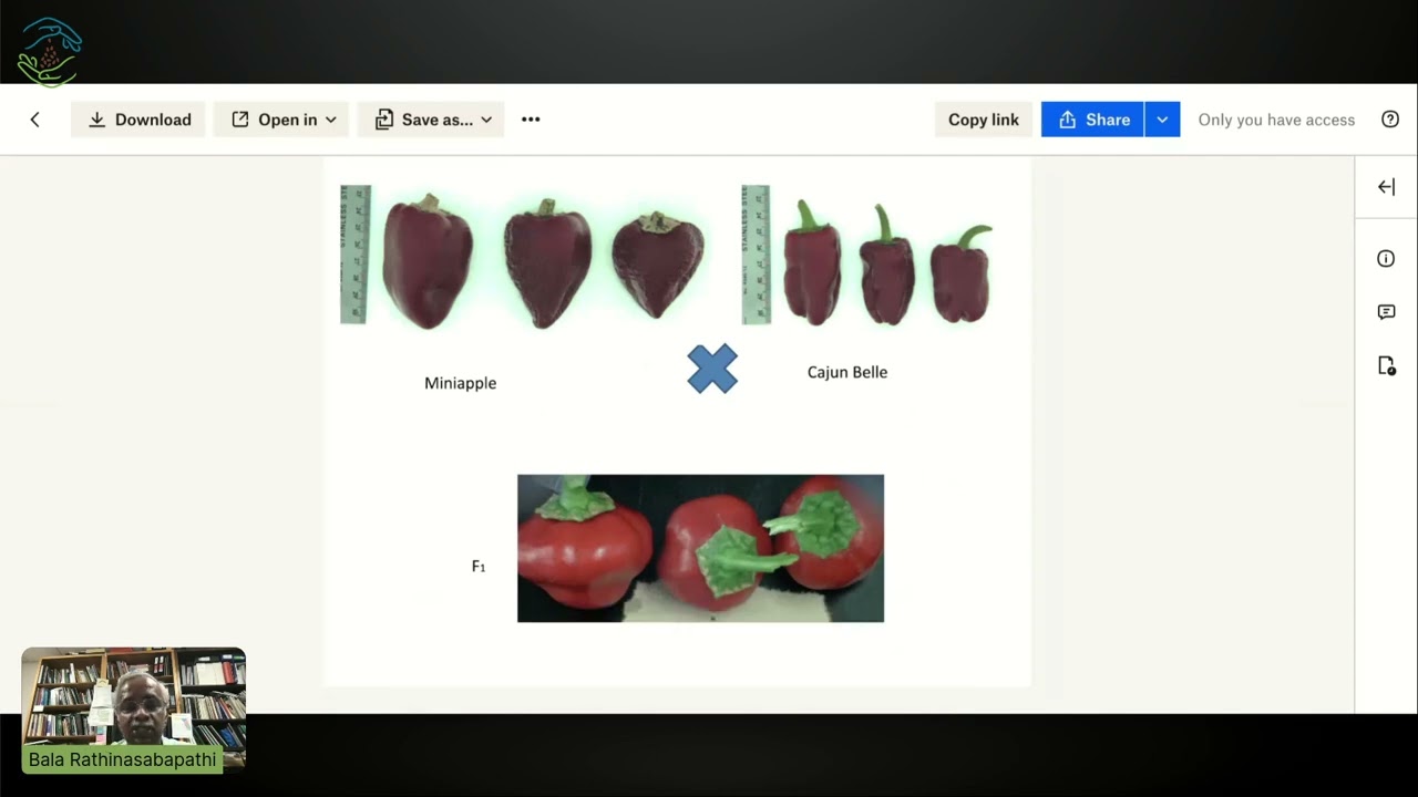 Building Better Peppers Connecting Young Minds to Plant Breeding