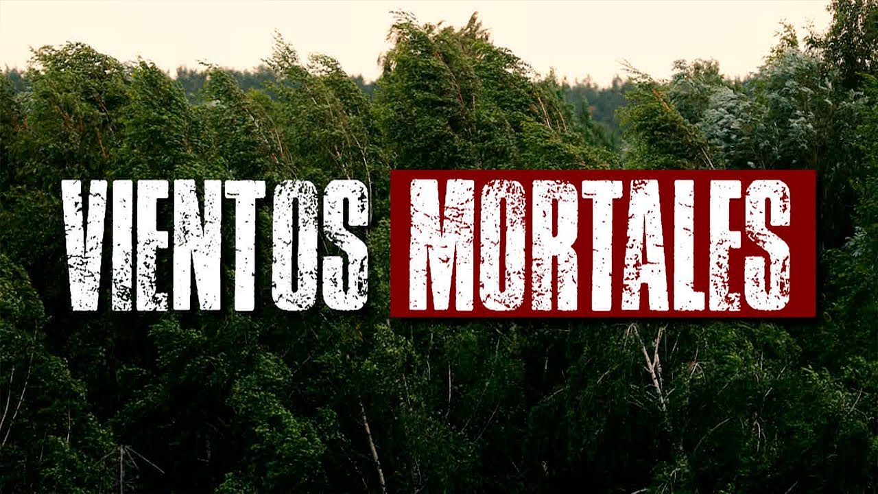 🛑EN VIVO: Noticias Repretel Edición Matutina 4/2/2026