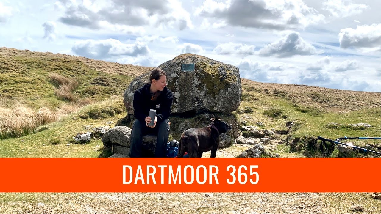 Ducks pool letter box Dartmoor 365