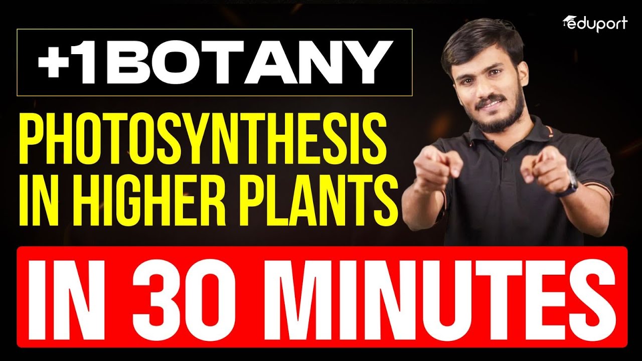 Plus One Botany | Photosynthesis in Higher Plants in 30 Minutes | Eduport Plus One