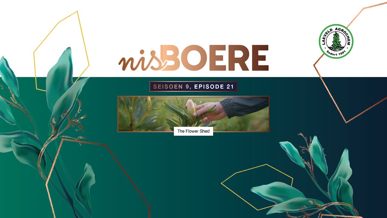 Nisboere 9 | Episode 21 – The Flower Shed