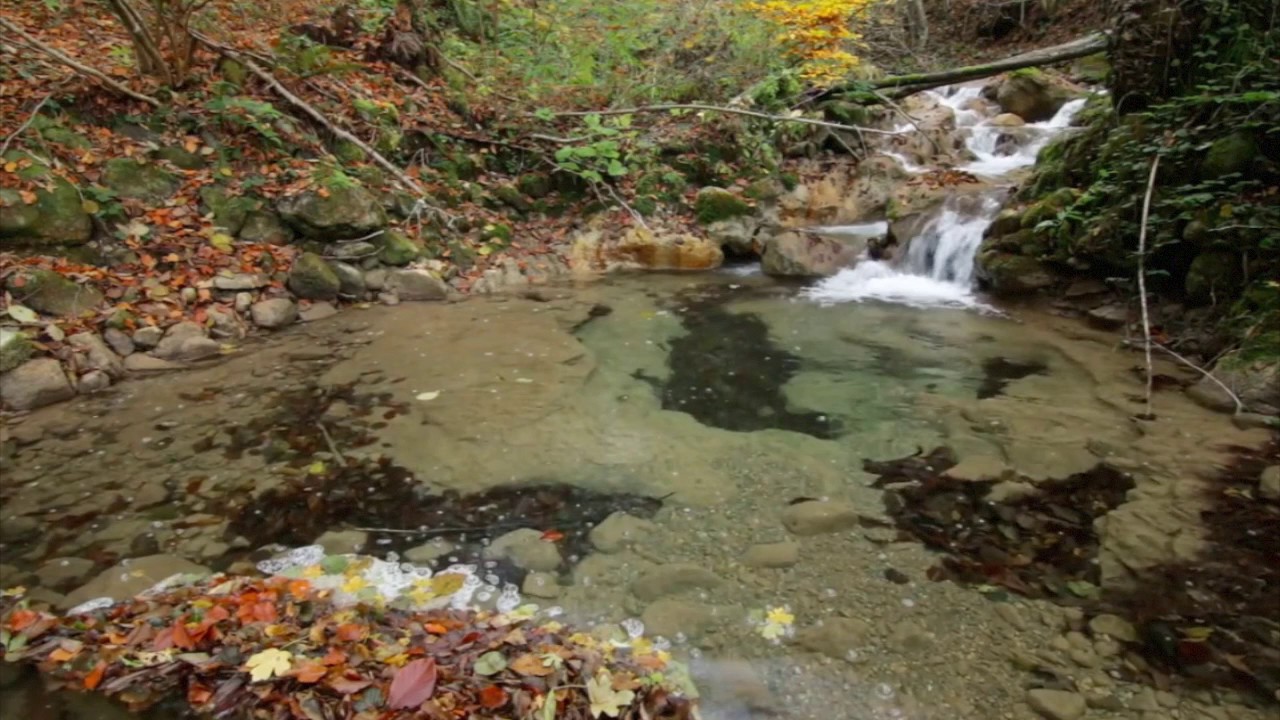 How To Find Trout in Rivers and Streams