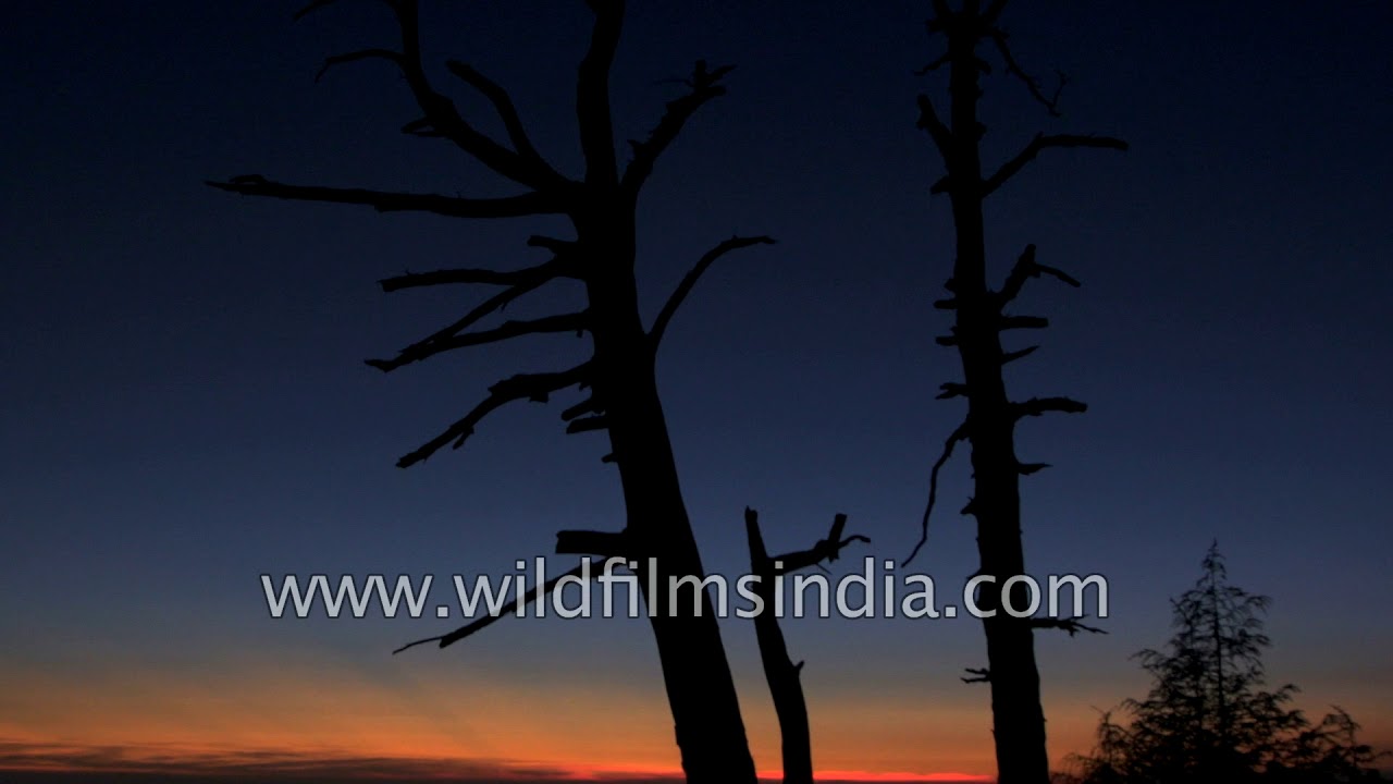 Sunset from our Himalayan vantage point - see the unique winterline