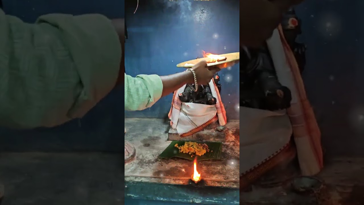 மாசி 5 ம் நாள் பூஜை தீபாராதனை அன்னதானம் நடைசாத்தல் #ayyappa #god#tuesday#videos 