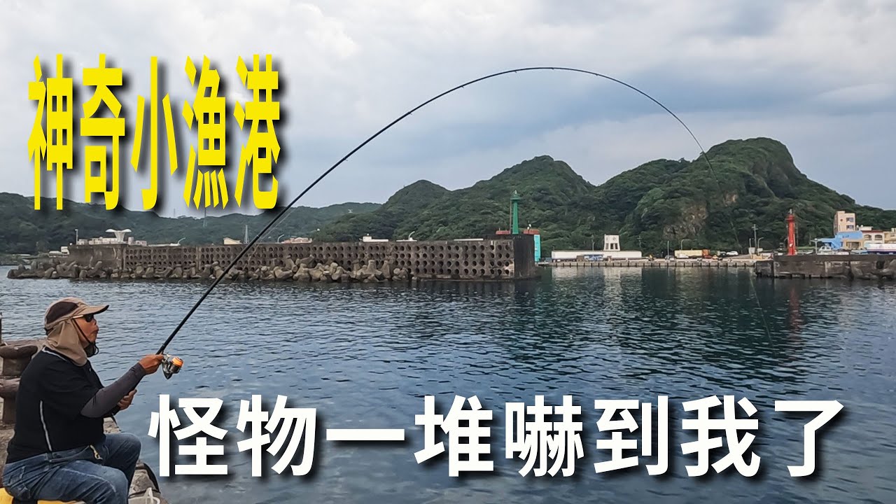 旁邊阿伯直接被定竿 嚇到我了 路邊停車的港口釣點 怪物一堆~【漁樂爽報】Fishing Fun NEWS EP138 #钓鱼 #釣り#北部釣點
