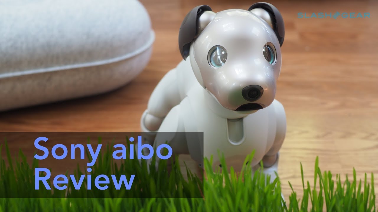 Sony aibo review (2018)