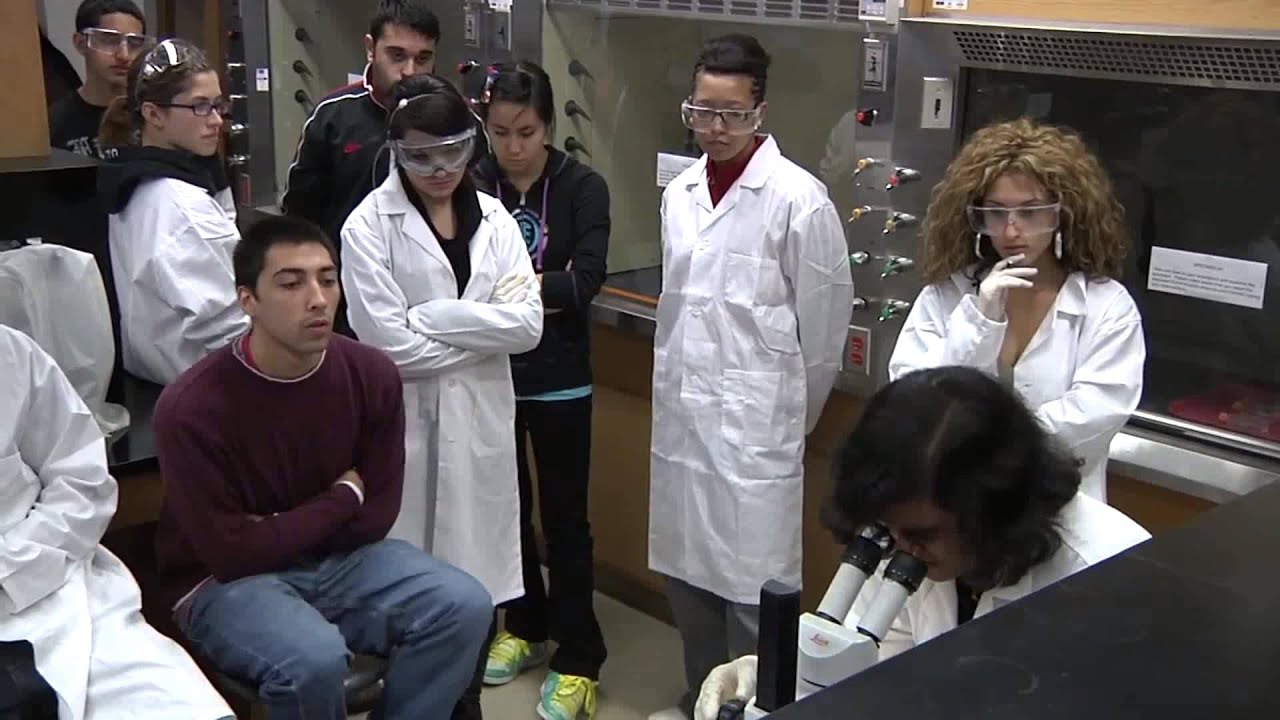 Biology First Year Lab - York University